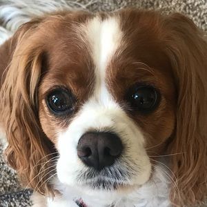 Meet your Posher, Terri